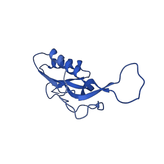 29397_8fr8_N_v1-1
Structure of Mycobacterium smegmatis Rsh bound to a 70S translation initiation complex