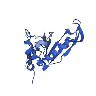 29397_8fr8_O_v1-1
Structure of Mycobacterium smegmatis Rsh bound to a 70S translation initiation complex