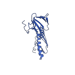 29397_8fr8_P_v1-1
Structure of Mycobacterium smegmatis Rsh bound to a 70S translation initiation complex
