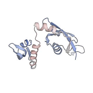 29397_8fr8_Q_v1-1
Structure of Mycobacterium smegmatis Rsh bound to a 70S translation initiation complex