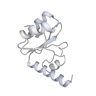 29397_8fr8_R_v1-1
Structure of Mycobacterium smegmatis Rsh bound to a 70S translation initiation complex