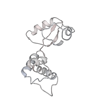 29397_8fr8_S_v1-1
Structure of Mycobacterium smegmatis Rsh bound to a 70S translation initiation complex