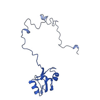29397_8fr8_V_v1-1
Structure of Mycobacterium smegmatis Rsh bound to a 70S translation initiation complex