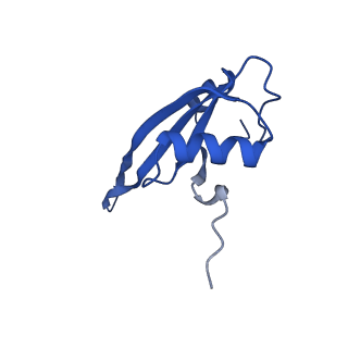 29397_8fr8_Z_v1-1
Structure of Mycobacterium smegmatis Rsh bound to a 70S translation initiation complex