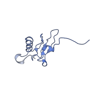 29397_8fr8_d_v1-1
Structure of Mycobacterium smegmatis Rsh bound to a 70S translation initiation complex
