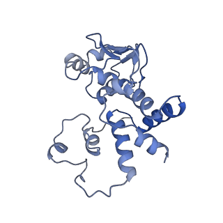 29397_8fr8_e_v1-1
Structure of Mycobacterium smegmatis Rsh bound to a 70S translation initiation complex