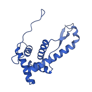 29397_8fr8_h_v1-1
Structure of Mycobacterium smegmatis Rsh bound to a 70S translation initiation complex