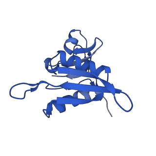 29397_8fr8_i_v1-1
Structure of Mycobacterium smegmatis Rsh bound to a 70S translation initiation complex