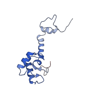 29397_8fr8_j_v1-1
Structure of Mycobacterium smegmatis Rsh bound to a 70S translation initiation complex