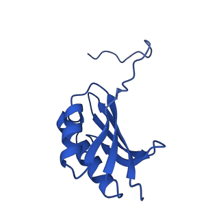 29397_8fr8_m_v1-1
Structure of Mycobacterium smegmatis Rsh bound to a 70S translation initiation complex