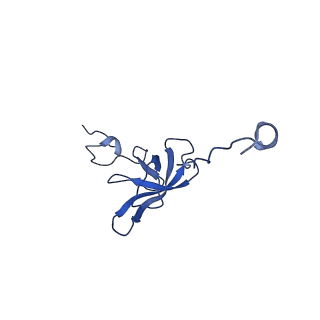 29397_8fr8_n_v1-1
Structure of Mycobacterium smegmatis Rsh bound to a 70S translation initiation complex