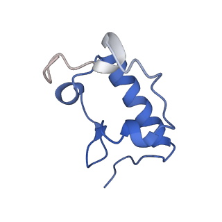 29397_8fr8_o_v1-1
Structure of Mycobacterium smegmatis Rsh bound to a 70S translation initiation complex