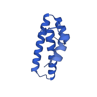 29397_8fr8_p_v1-1
Structure of Mycobacterium smegmatis Rsh bound to a 70S translation initiation complex