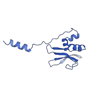 29397_8fr8_q_v1-1
Structure of Mycobacterium smegmatis Rsh bound to a 70S translation initiation complex