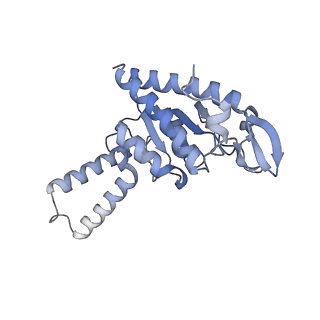 29397_8fr8_u_v1-1
Structure of Mycobacterium smegmatis Rsh bound to a 70S translation initiation complex