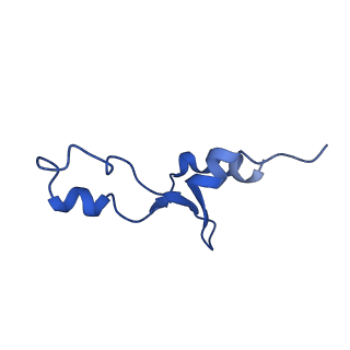 29397_8fr8_x_v1-1
Structure of Mycobacterium smegmatis Rsh bound to a 70S translation initiation complex