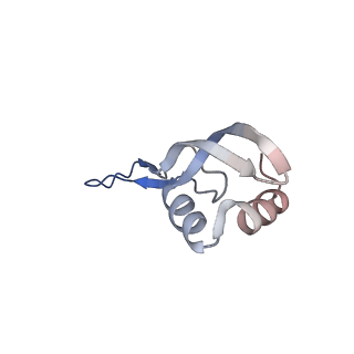29397_8fr8_y_v1-1
Structure of Mycobacterium smegmatis Rsh bound to a 70S translation initiation complex
