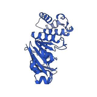 29400_8frl_B_v1-2
Acinetobacter baylyi LptB2FG bound to lipopolysaccharide and a macrocyclic peptide