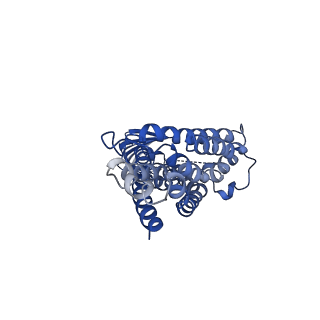 29400_8frl_F_v1-2
Acinetobacter baylyi LptB2FG bound to lipopolysaccharide and a macrocyclic peptide