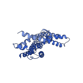29400_8frl_G_v1-2
Acinetobacter baylyi LptB2FG bound to lipopolysaccharide and a macrocyclic peptide