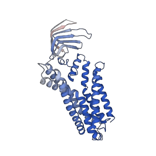 29401_8frm_G_v1-2
Acinetobacter baylyi LptB2FG bound to lipopolysaccharide.