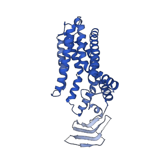 29402_8frn_G_v1-2
Acinetobacter baylyi LptB2FG bound to lipopolysaccharide and Zosurabalpin