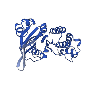 29403_8fro_B_v1-2
Acinetobacter baylyi LptB2FG bound to lipopolysaccharide and a macrocyclic peptide
