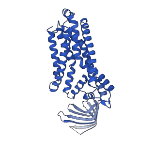 29403_8fro_G_v1-2
Acinetobacter baylyi LptB2FG bound to lipopolysaccharide and a macrocyclic peptide