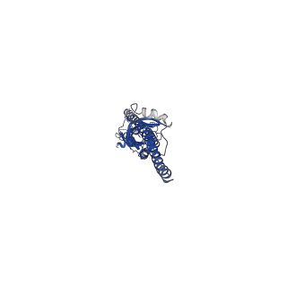 29409_8frw_D_v1-1
Full-length mouse 5-HT3A receptor in complex with ALB148471, pre-activated