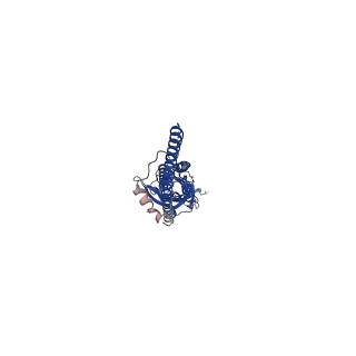 29411_8frz_B_v1-1
Full-length mouse 5-HT3A receptor in complex with serotonin, pre-activated