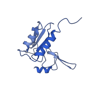 4300_6frk_3_v1-2
Structure of a prehandover mammalian ribosomal SRP and SRP receptor targeting complex