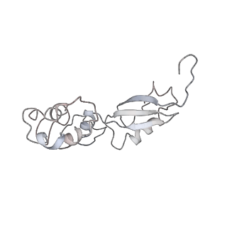 4300_6frk_4_v1-2
Structure of a prehandover mammalian ribosomal SRP and SRP receptor targeting complex
