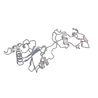 4300_6frk_6_v1-2
Structure of a prehandover mammalian ribosomal SRP and SRP receptor targeting complex