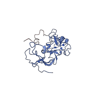 4300_6frk_A_v1-2
Structure of a prehandover mammalian ribosomal SRP and SRP receptor targeting complex