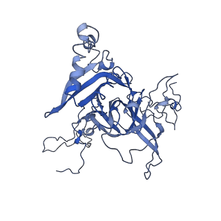 4300_6frk_B_v1-2
Structure of a prehandover mammalian ribosomal SRP and SRP receptor targeting complex