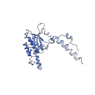 4300_6frk_D_v1-2
Structure of a prehandover mammalian ribosomal SRP and SRP receptor targeting complex