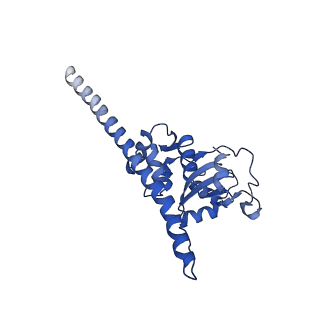 4300_6frk_F_v1-2
Structure of a prehandover mammalian ribosomal SRP and SRP receptor targeting complex