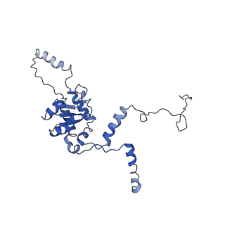 4300_6frk_G_v1-2
Structure of a prehandover mammalian ribosomal SRP and SRP receptor targeting complex