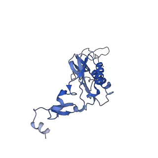 4300_6frk_I_v1-2
Structure of a prehandover mammalian ribosomal SRP and SRP receptor targeting complex