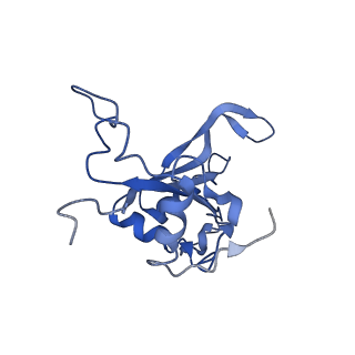 4300_6frk_J_v1-2
Structure of a prehandover mammalian ribosomal SRP and SRP receptor targeting complex