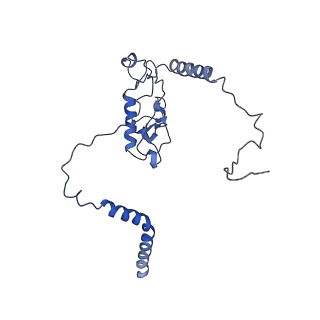 4300_6frk_L_v1-2
Structure of a prehandover mammalian ribosomal SRP and SRP receptor targeting complex