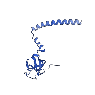 4300_6frk_M_v1-2
Structure of a prehandover mammalian ribosomal SRP and SRP receptor targeting complex