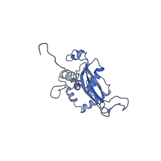 4300_6frk_N_v1-2
Structure of a prehandover mammalian ribosomal SRP and SRP receptor targeting complex