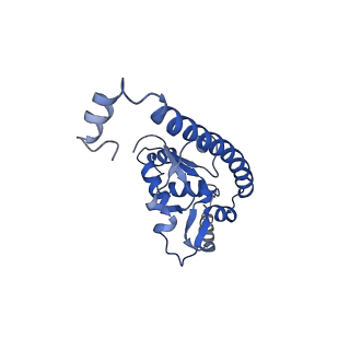 4300_6frk_O_v1-2
Structure of a prehandover mammalian ribosomal SRP and SRP receptor targeting complex