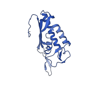 4300_6frk_P_v1-2
Structure of a prehandover mammalian ribosomal SRP and SRP receptor targeting complex
