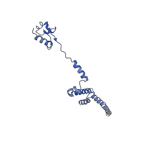 4300_6frk_R_v1-2
Structure of a prehandover mammalian ribosomal SRP and SRP receptor targeting complex