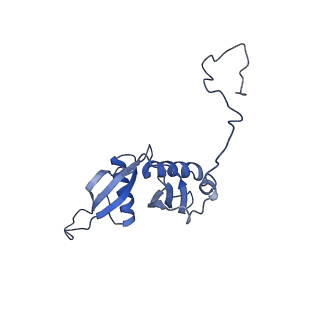 4300_6frk_S_v1-2
Structure of a prehandover mammalian ribosomal SRP and SRP receptor targeting complex