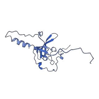 4300_6frk_T_v1-2
Structure of a prehandover mammalian ribosomal SRP and SRP receptor targeting complex