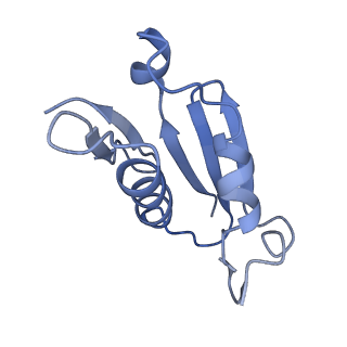 4300_6frk_U_v1-2
Structure of a prehandover mammalian ribosomal SRP and SRP receptor targeting complex