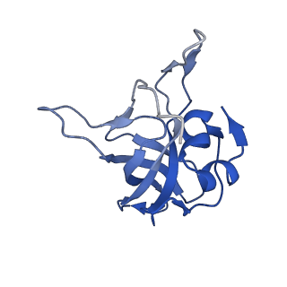 4300_6frk_V_v1-2
Structure of a prehandover mammalian ribosomal SRP and SRP receptor targeting complex
